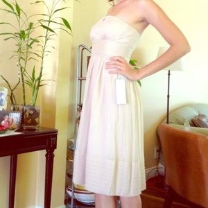 J. Crew Chiffon Strapless Dress